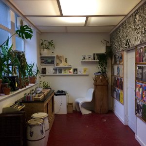 The Living Mountain record shop/ Edinburgh